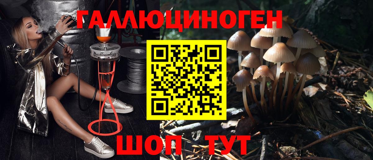 Урус-Мартан  Псилоцибиновые грибы Magic Shrooms  Галлюциногенные грибы мицелий  Вход с VPN 
