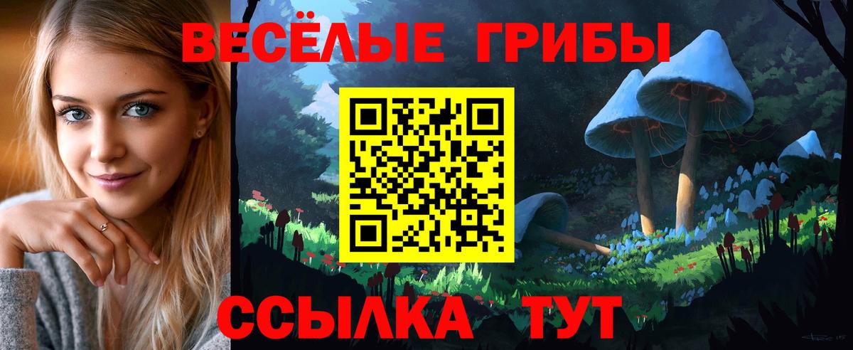 Галлюциногенные грибы MAGIC MUSHROOMS Урус-Мартан